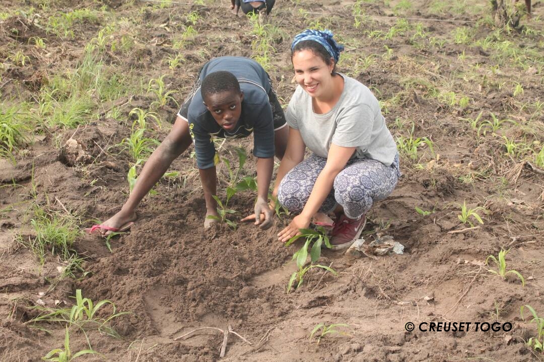 Séance de reboisement Camp été 2017
