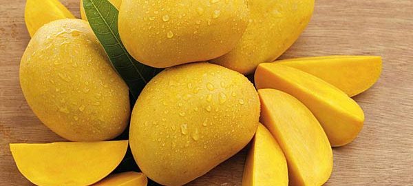 Transformation des fruits tropicaux : du nectar de mangue à Sokodé