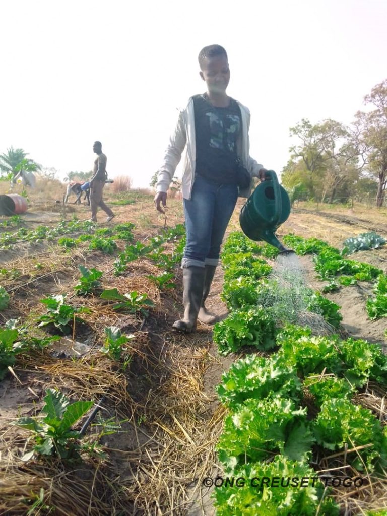 Entrepreneuriat agricole des femmes : la jeune fille KOKOU Nawou Pierrette veut relever le défi