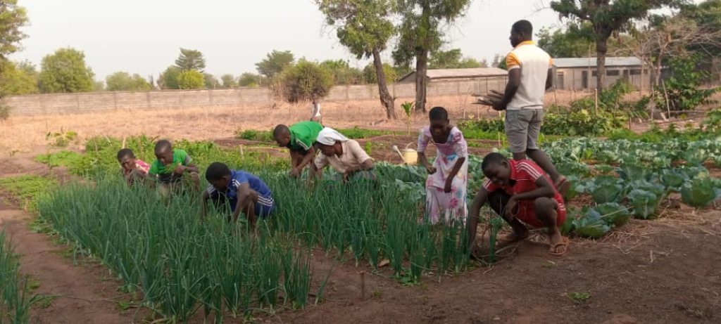 CREUSET TOGO ET KiRA à la recherche de la performance au sein des structures d’accueil pour enfants au Togo