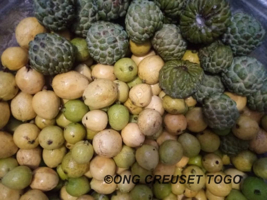FRUITS DE LA FERME (1)_GF - Creuset Togo