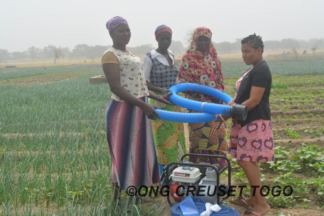Coup de projecteur sur la coopérative agricole AFIMADIMA des femmes de Sadori appuyée par CREUSET TOGO