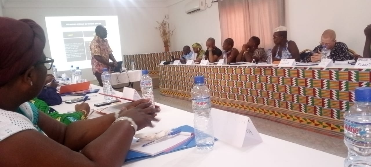 Atelier de formation des formateurs issus des ODDH sur les mécanismes nationaux africains et onusiens des droits de l’homme.